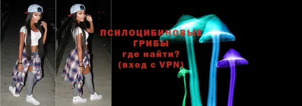 ПСИЛОЦИБИНОВЫЕ ГРИБЫ Алзамай