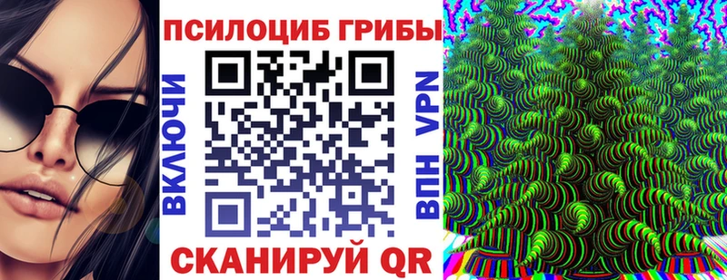 наркошоп  Зеленоградск  Псилоцибиновые грибы Magic Shrooms 